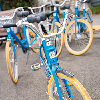 A group of blue bikes for rent at shoreline lake